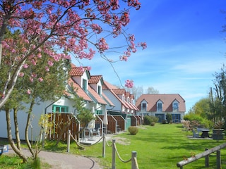Ferienhausanlage Süderhof