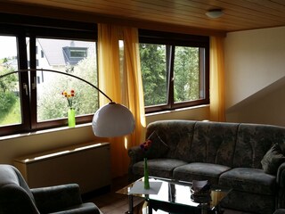 Vakantieappartement Sinzig Kenmerken 9