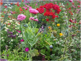 Holiday cottage Capo Comino Environment 20