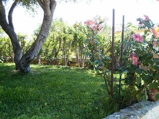 Holiday cottage Capo Comino Features 5