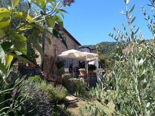 Casa de vacaciones Pescia Grabación al aire libre 20