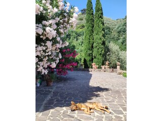 Casa de vacaciones Pescia Grabación al aire libre 22
