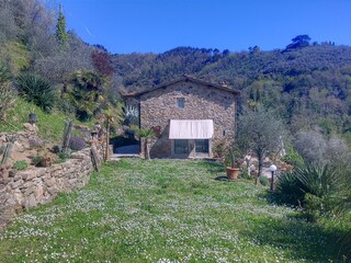 Casa de vacaciones Pescia Grabación al aire libre 4
