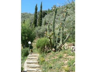 Casa de vacaciones Pescia Grabación al aire libre 8
