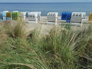 Strand Sierkdsdorf mit Strandkorb in 1. Reihe