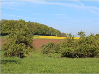 Wirscheid -Frühling