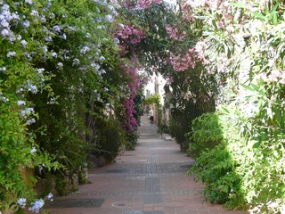 Vakantieappartement Antibes Omgeving 8