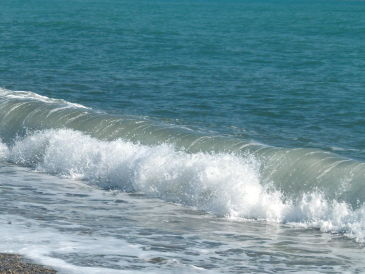 Ruhige Ferienwohnung, 100 m zum Strand