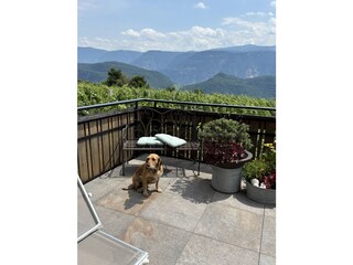 Appartamento per vacanze Kaltern Caratteristiche 24