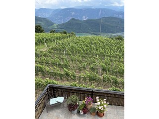 Appartamento per vacanze Kaltern Caratteristiche 25