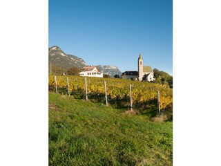 Appartamento per vacanze Kaltern Registrazione all'aperto 10