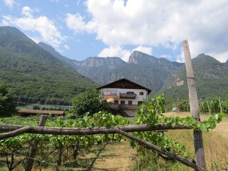 Appartamento per vacanze Kaltern Registrazione all'aperto 1