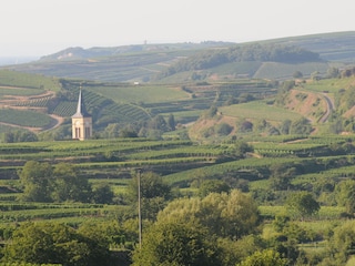 Blick in den Kaiserstuhl