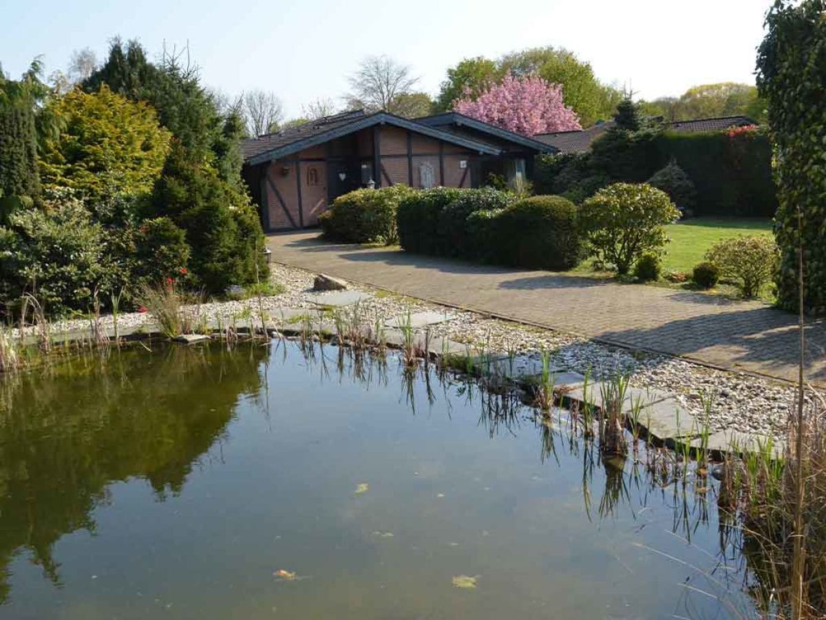 Der Gartenteich mit Blick aufs Haus