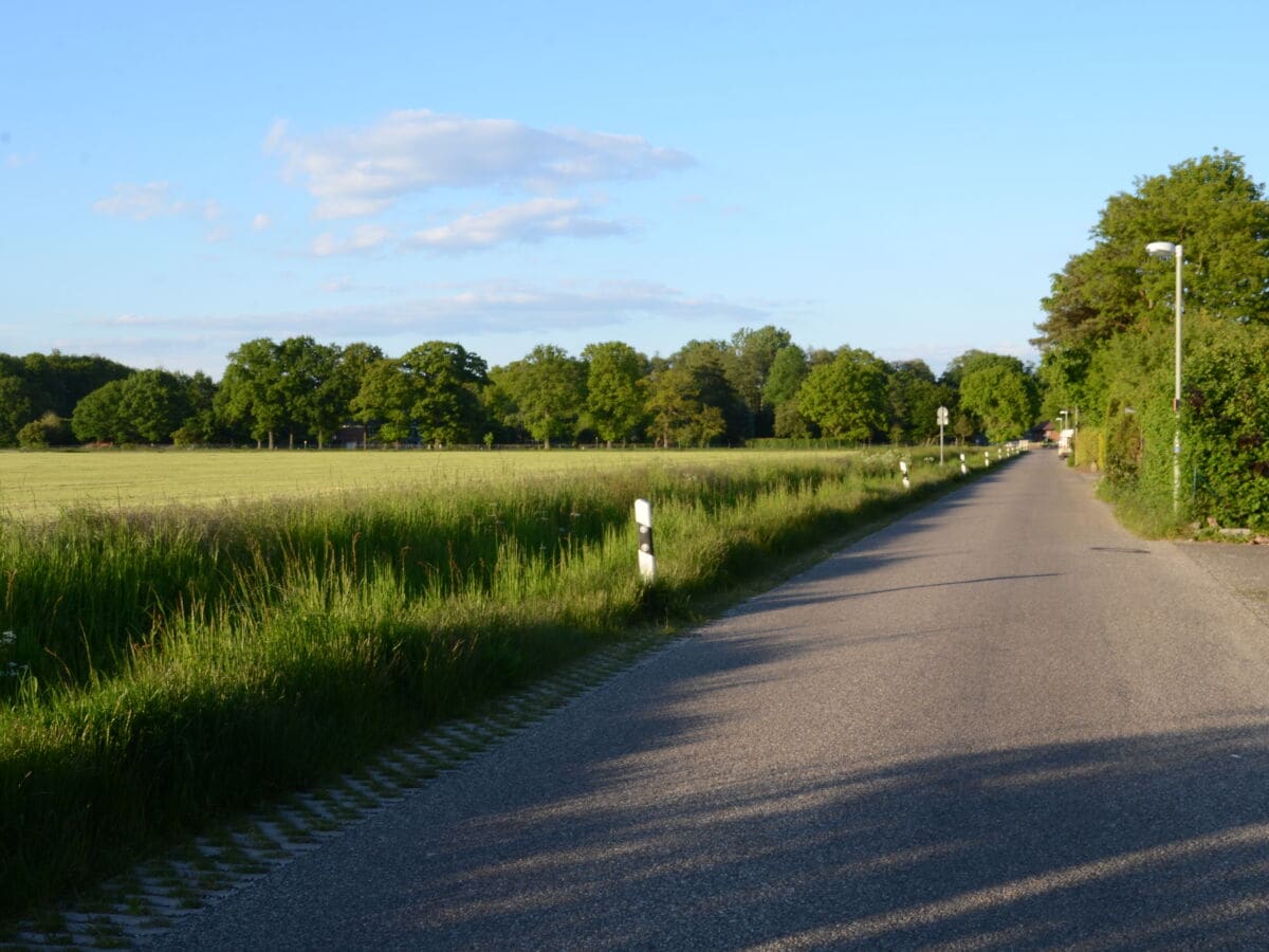 Der Neesenweg