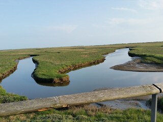 Vakantieappartement St. Peter-Ording Omgeving 24