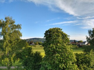 View from the roof terrace