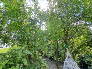 Favourite spot at the river