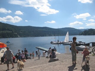 Appartamento per vacanze Feldberg im Schwarzwald Ambiente 21