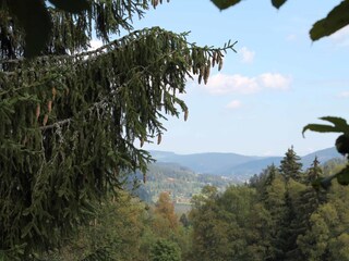 Appartamento per vacanze Feldberg im Schwarzwald Registrazione all'aperto 7