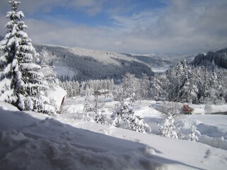 Appartamento per vacanze Feldberg im Schwarzwald Ambiente 18