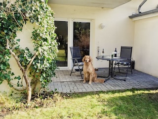 Appartamento per vacanze Zingst Registrazione all'aperto 6