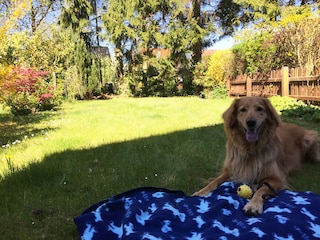 Appartamento per vacanze Zingst Registrazione all'aperto 1