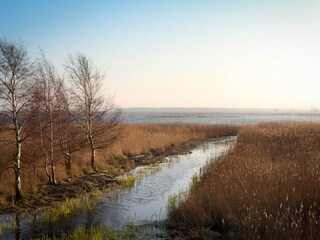 Vakantieappartement Zingst Omgeving 16