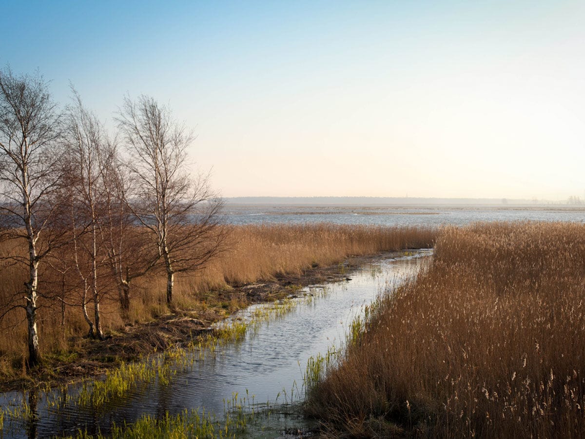 Zingst Bodden