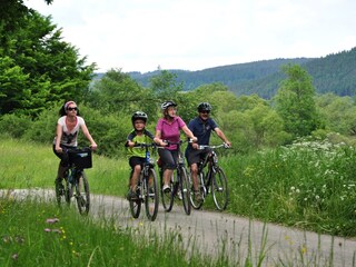 Appartamento per vacanze Meiningen Ambiente 19