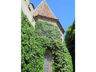 Vakantieappartement Meran Omgeving 23