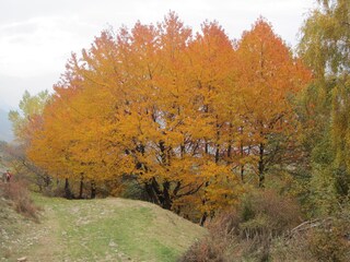 Appartamento per vacanze Meran Ambiente 15