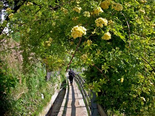 Appartamento per vacanze Meran Ambiente 17