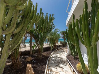 Vakantieappartement Costa Calma Buitenaudio-opname 6