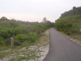 Viele Radwegen im Dunen.