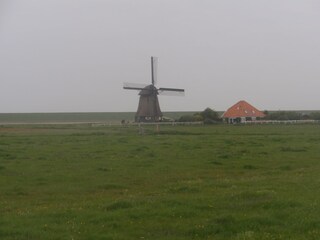 Im Polder