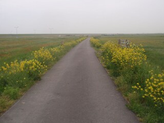 Schon mit dem Fahrrad.