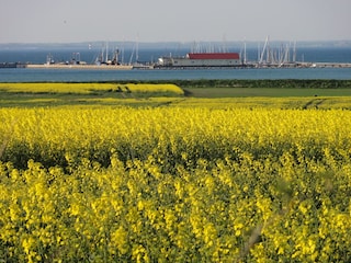 Bucht von Wackerballig