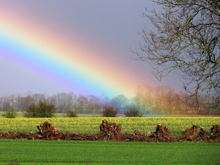 Blick von der Terrasse ins Regenbogenland