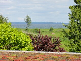 Blick über die Ostsee bis Dänemark