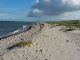 Strandspaziergang