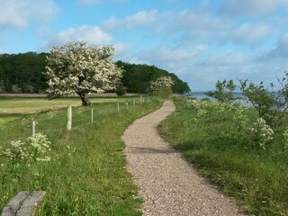 Ostseeküstenradweg