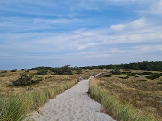 Naturschutzgebiet Darsser Ort