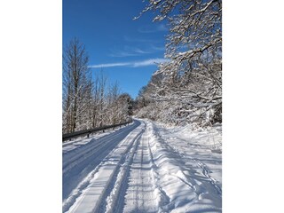 Die Einfahrt bei Schnee.