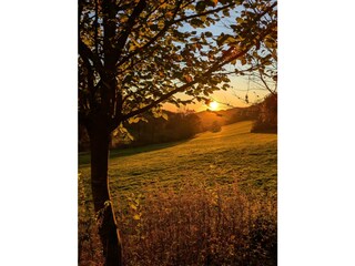 Sonnenuntergang im Tal.