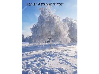 Kahler Asten