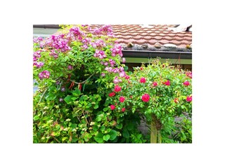 Casa per le vacanze Hollum Ambiente 16