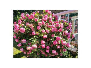 Casa per le vacanze Hollum Registrazione all'aperto 4