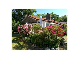 Casa per le vacanze Hollum Registrazione all'aperto 3