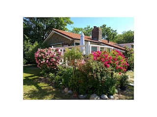 Vakantiehuis Hollum Buitenaudio-opname 3